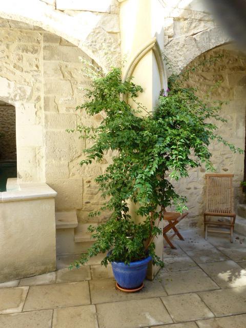 Hotel Cote Cour Chambres D'Hotes Bourg-Saint-Andeol Exterior photo